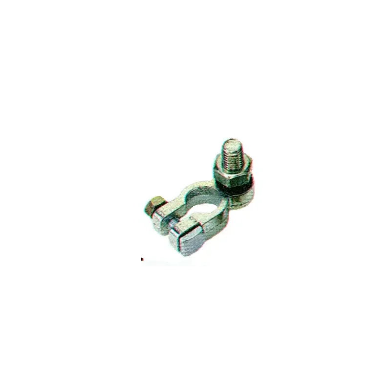 baadfokus202610010454551307850