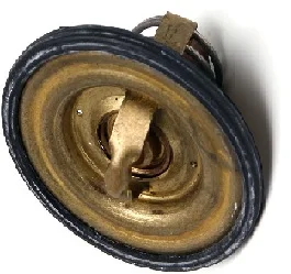 bue-net202610010226181267099