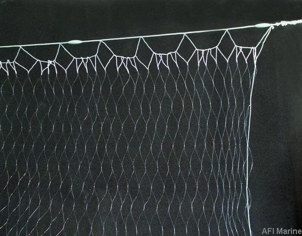 bue-net202610010605041320933